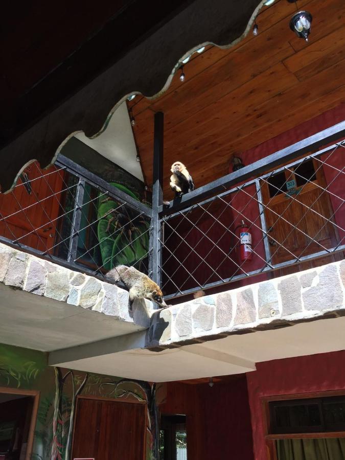 Manakin Lodge, Monteverde Cr Eksteriør bilde